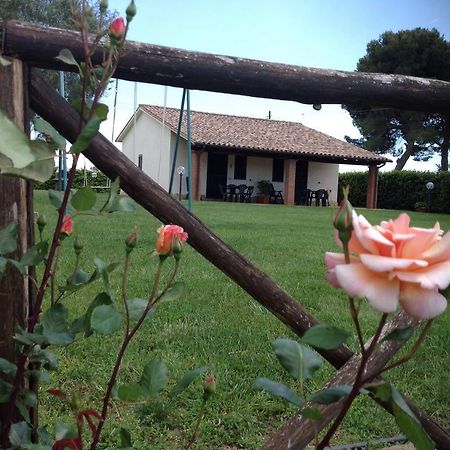 Agriturismo Belvedere Pescia Romana Eksteriør billede